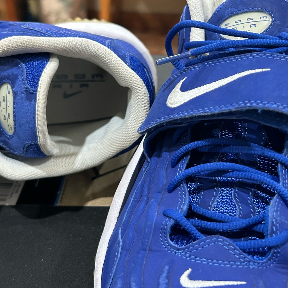 Nike zoom Air (Pre loved) size 13